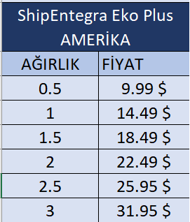 ShipEntegra Eko Plus Amerika 2-min