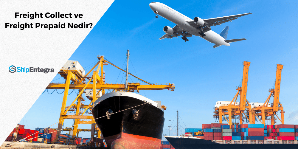 Freight Collect ve Freight Prepaid Nedir? - ShipEntegra